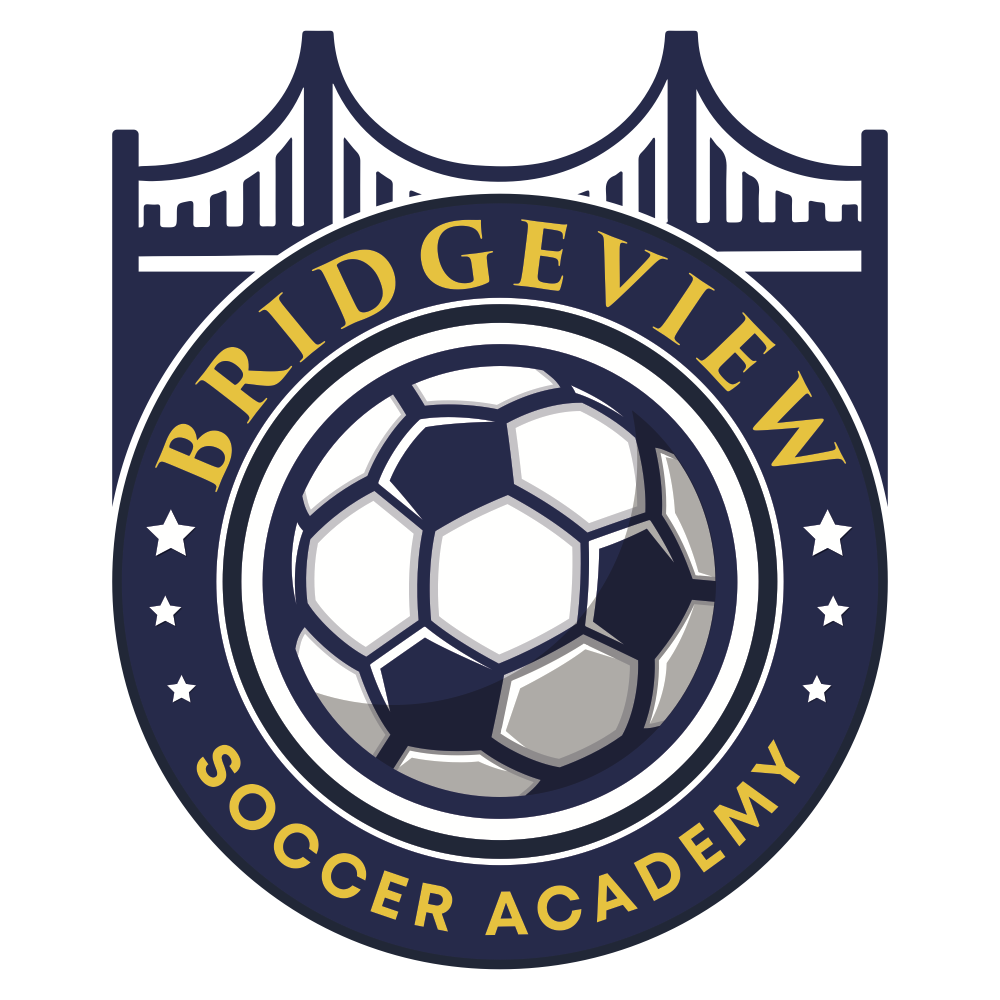 BridgeView Academy